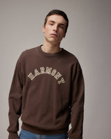 Sael Varsity - Chocolat - Cotton Jersey