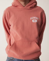 Sany 05 - Cranberry - Cotton Jersey