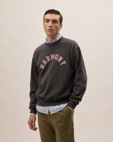 Sael Varsity - Slate - Cotton Jersey