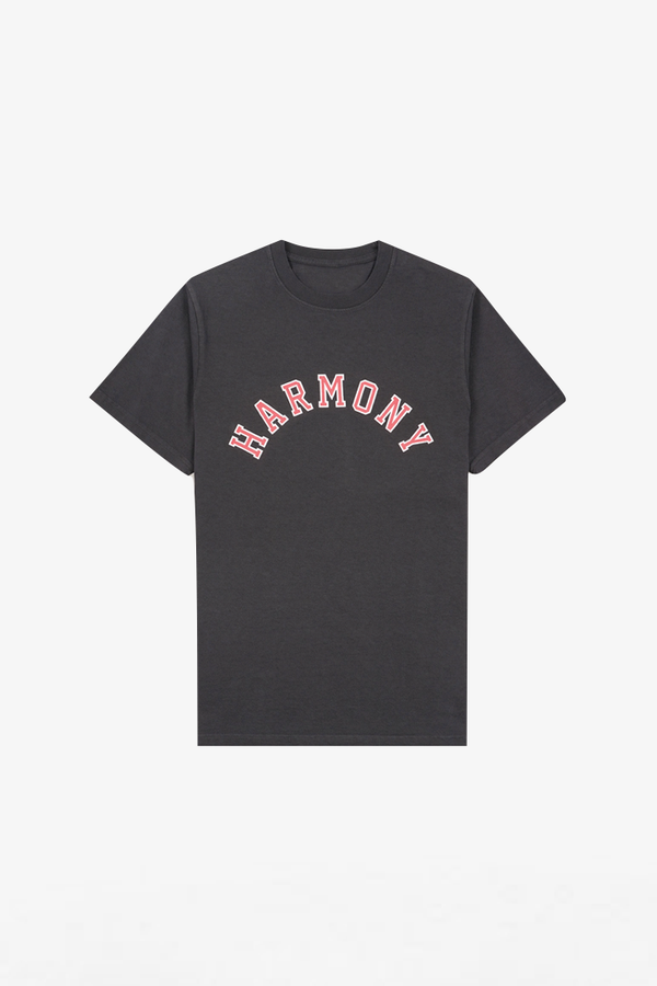 T-Shirt Varsity - Slate - Cotton Jersey