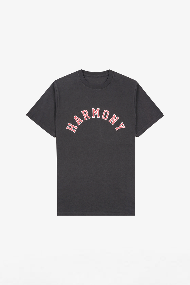 T-Shirt Varsity - Slate - Cotton Jersey